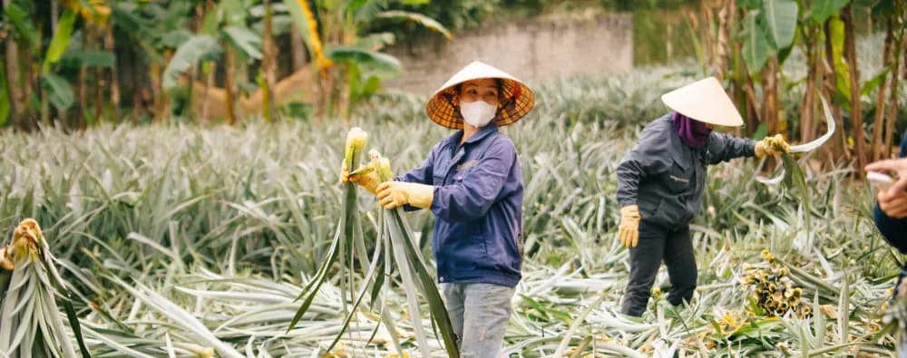 Hoạt động thực tế 3