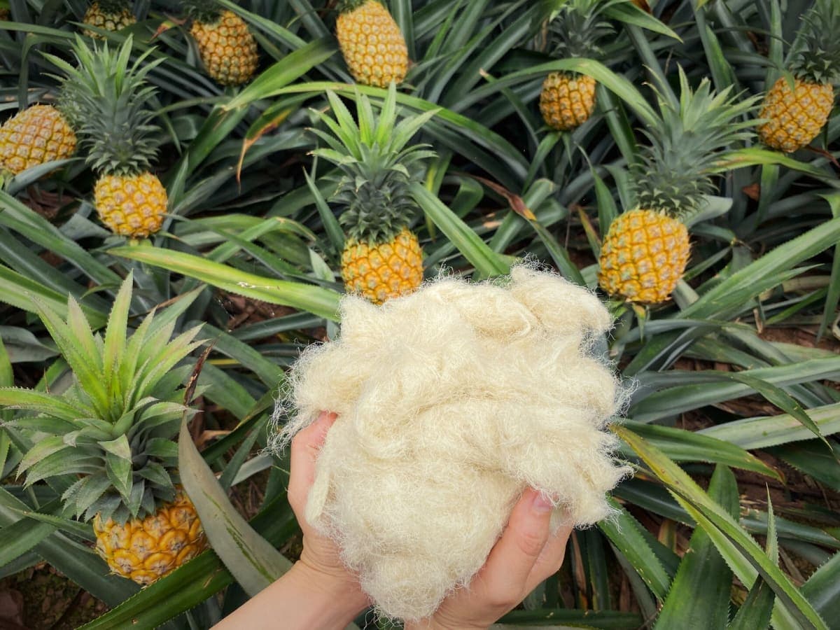 Fabric
